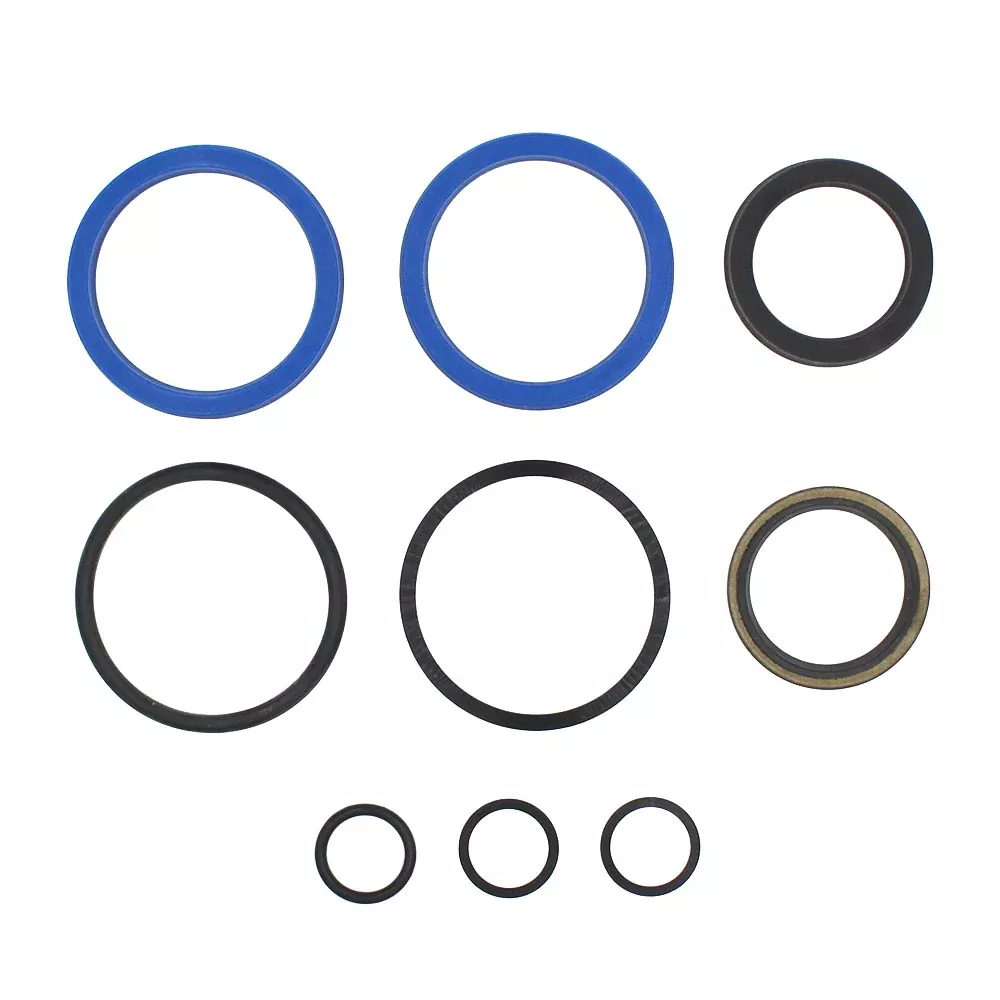 1R3047 1A375 Seal Kit fits Farmhand Loader Model F27-A Stroke 43.375