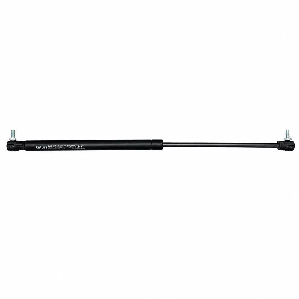 3380149M2 Strut, Gas