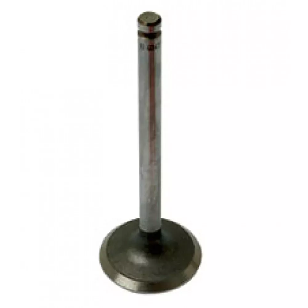 A-957E6507-AI Valve, Intake