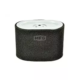 Air Filter Combo For Briggs & Stratton