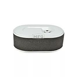 Air Filter With Prefilter For Mtd