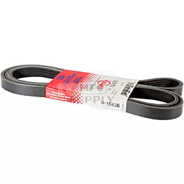 Belt Hydro Pump 5 Rib X 70.5" Exmark