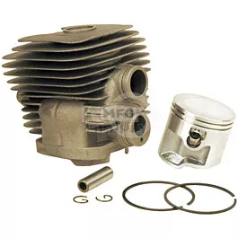Cylinder & Piston Assy