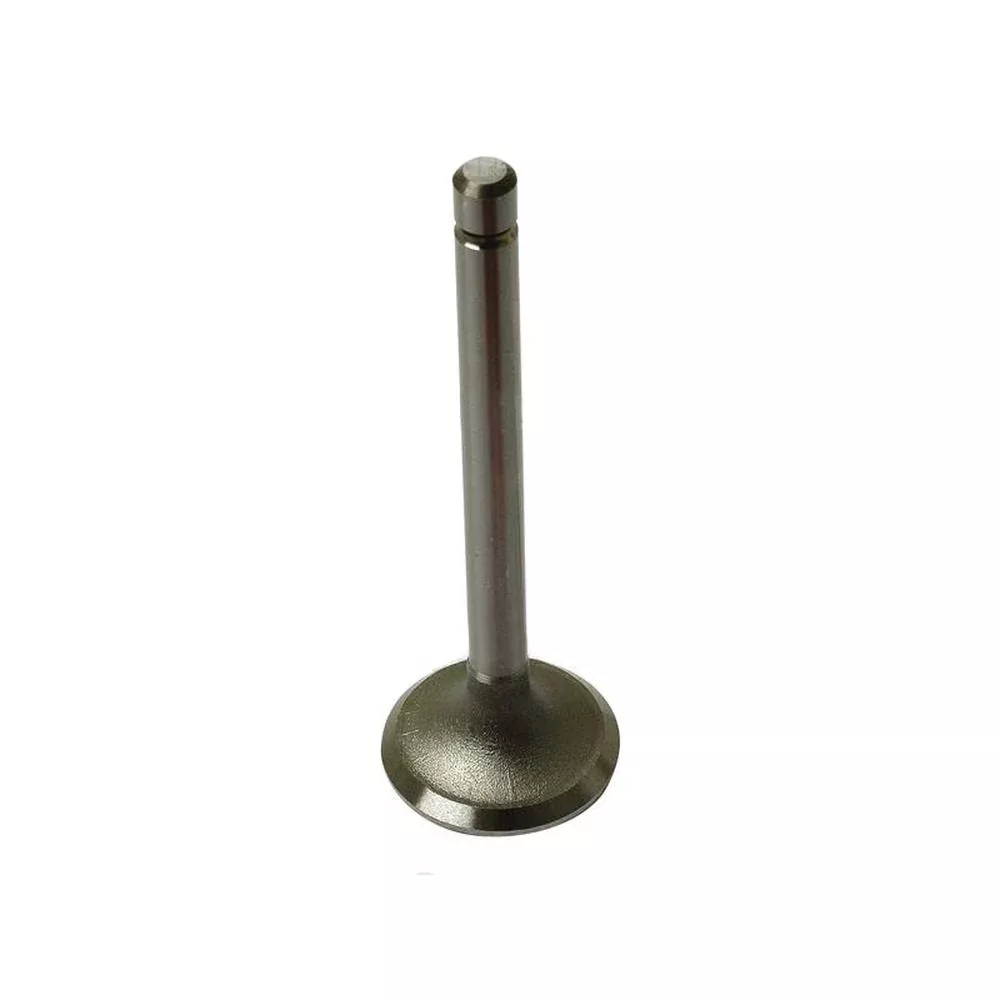 New Replacement 1522113110 Intake Valve Fits Bobcat Loader 1600 Engine Z750